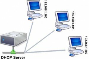 DHCP Server Backup və Restore